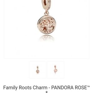Pandora Charm